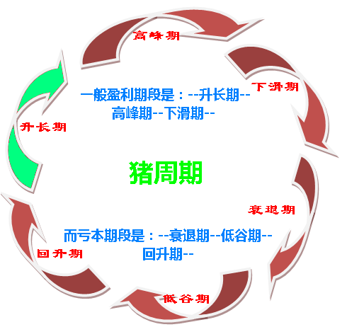 如何破解價格怪圈 化解“豬周期”風(fēng)險？