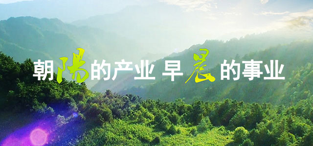 安康陽(yáng)晨集團(tuán)